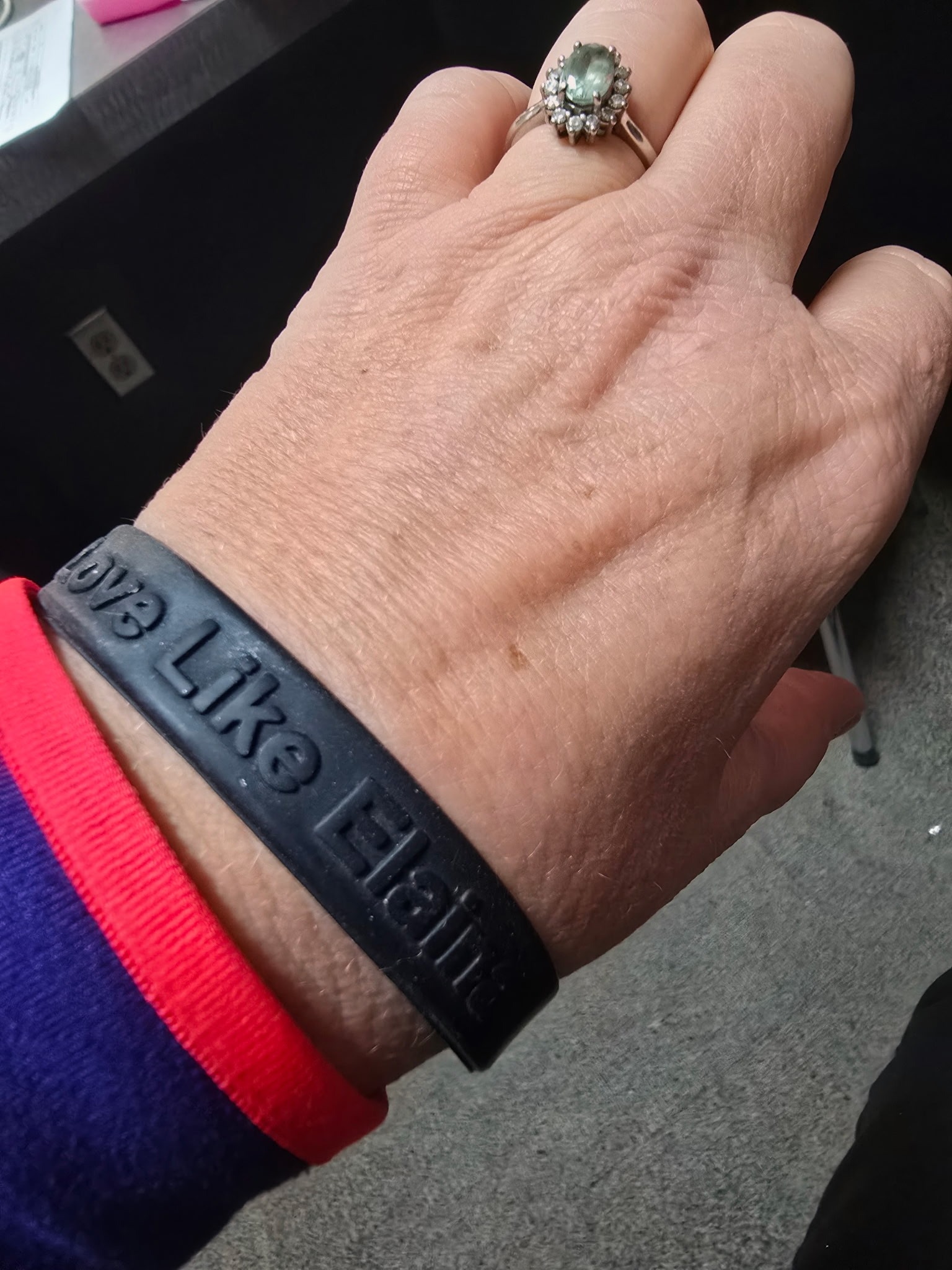 Love Like Elaina photo highlight