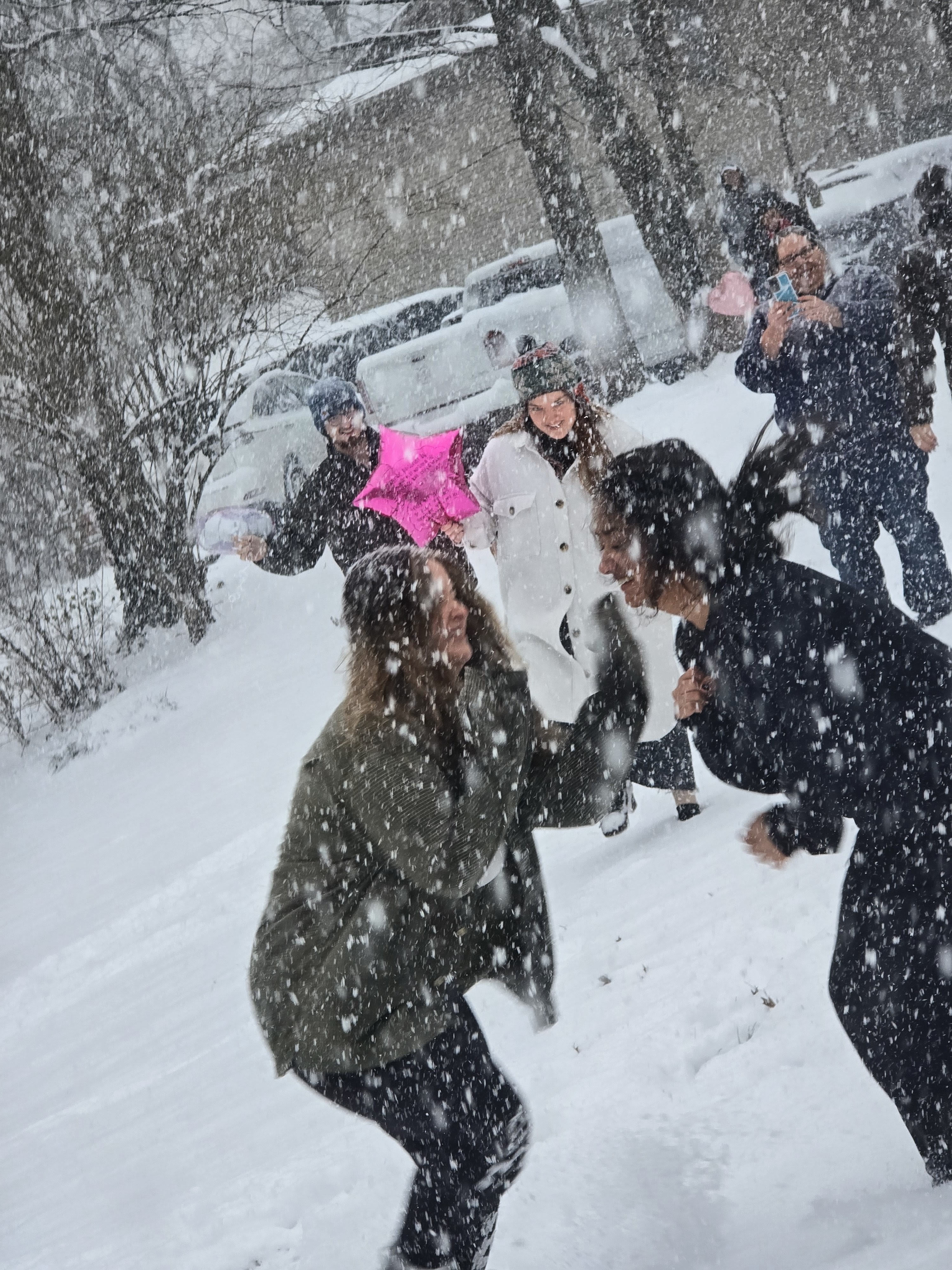 Love Like Elaina photo highlight